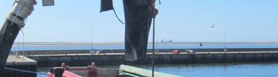 FISHPUMP 02